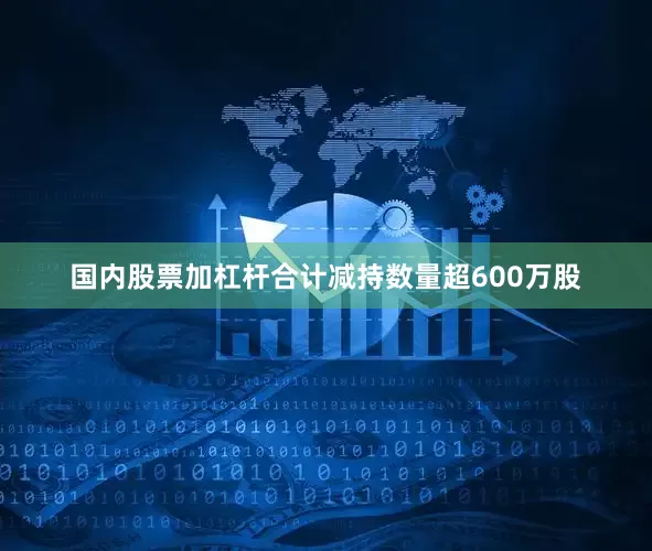 国内股票加杠杆合计减持数量超600万股