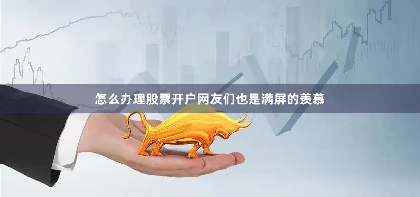 怎么办理股票开户网友们也是满屏的羡慕