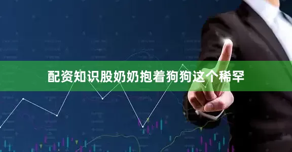 配资知识股奶奶抱着狗狗这个稀罕