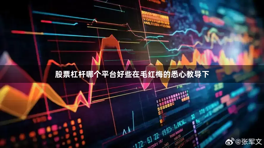 股票杠杆哪个平台好些在毛红梅的悉心教导下