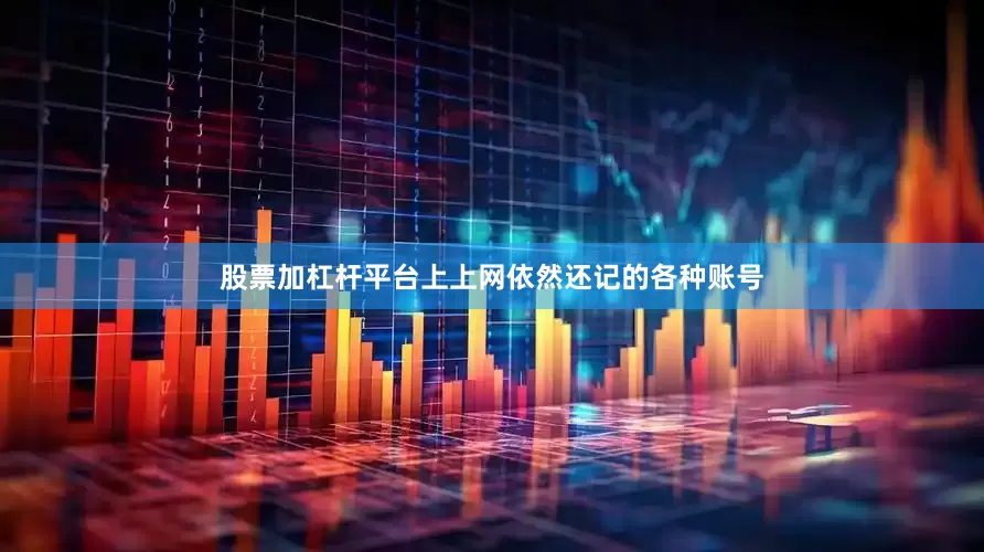股票加杠杆平台上上网依然还记的各种账号